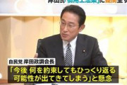 自民・岸田「韓国、何を約束しても再びひっくり返る可能性ある」