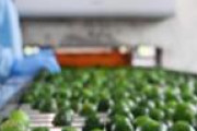 そもそも資格が無いのに　〜　韓国、CPTPPとの貿易額米中より多い…「供給網のために加盟急がねば」
