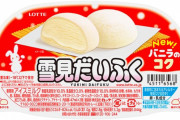 「雪見だいふく」「あずきバー」「ガリガリ君」アイス輸出が過去最高！日本の食や文化への関心高まる
