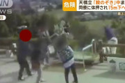天橋立“股のぞき”で突き落とされた事故、傷害事件として捜査開始