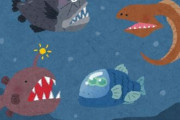 【生物】可視光吸収99．5％超、「真っ黒」な深海魚１６種発見　人工素材に応用期待・米チーム　