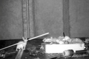 ネズミが毎晩作業場の片づけカメラ映像で確認 #英