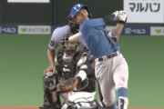 日ハムファンのホームランｗｗｗｗｗｗｗｗ