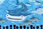 ワイ「水族館デートか…1時間くらいかな？」