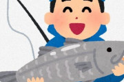 【朗報】ルアー釣り4ヶ月目のワイ、ようやく一匹目をゲット?