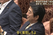 【朗報】安倍晋三語録スターターキット、あまりにも使い勝手が良過ぎるwwwwwwwwwww