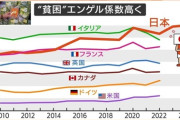 【悲報】日本、エンゲル係数がアメリカの2倍。お前らアメリカのデブより食ってんの？