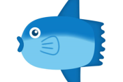 【画像】巨大マンボウの稚魚さん、金平糖みたいでカワイイｗ
