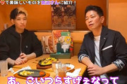 宮迫「俺を脅かしたのはブラマヨ」ヒカル「吉田さん面白いから好き！」宮迫「ﾑｸﾑｸﾑｸｯ!」