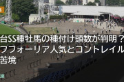 社台SS種牡馬の種付け頭数が判明？エフフォーリア人気とコントレイルの苦境