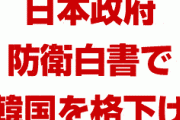 日本政府「韓国はレーダー照射したから防衛白書で重要度を格下げする」　終わったな…