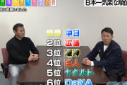 井端のセリーグ順位予想「中日1位！広島2位！阪神3位！」