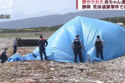 【画像】海岸塩で赤ちゃんを焼き殺した女さん（24）のご尊顔ｗｗｗｗｗｗ