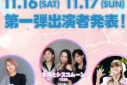 【朗報】新潟で開催されるアイドルフェスに元AKB48メンバーが多数出演