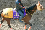 レイパパレ大阪杯出走へ！鞍上は引き続き川田
