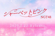 欅坂46はどうする！？NGT48、約1年9ヶ月ぶりとなるニューシングル発売へ