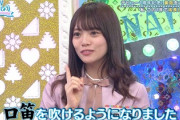 【日向坂46】それやりたいだけだろｗwwww