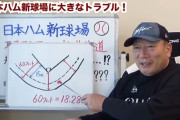 高木豊氏、日本ハム新球場規則違反を解説「ファンのため、人気が出ると思う」「現行で容認を」と訴え