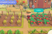 【あつまれどうぶつの森】畑が新しく増えたからスペース確保しないと！