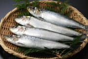 【悲報】「イワシ」がイマイチ人気ない理由ｗｗｗｗｗ