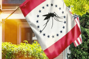 アメリカ「お前らの国で採用されかけた馬鹿な旗デザインってある？」