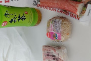 日本「一人寂しく食べてる昼飯がこれなんだが外国人どう思う？」