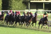 歴代の秋天勝ち馬達を東京2000で戦わせたら