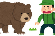 ヒグマ駆除の公表をためらう自治体が増加中…全国から「なぜ◯した」と抗議や非難が相次ぐため