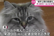 プーチン大統領から贈られたオスのシベリア猫ミール…佐竹知事が看取る