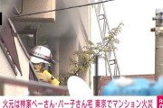林家ペー・パー子さん自宅マンションで火災「仏壇に火をつけようと…」
