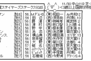 11/30(土) 第53回 スポーツニッポン賞ステイヤーズステークス(G?) part2