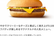 【朗報】本日からバーガーキングのワッパージュニア、驚愕の250円ｗｗｗｗｗｗｗｗｗ