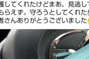 車カスさん。信号のない横断歩道で歩行者に譲られ先に行ってしまいお巡りさんに切符切られる。