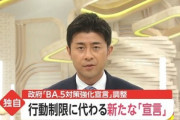 日本政府､行動制限の代わりに｢BA.5対策強化宣言｣を新設へ