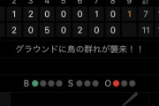 スポナビ『グラウンドに鳥の群れが襲来！！』