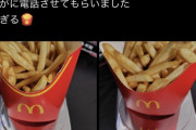 【画像】マクドナルドさん、ポテトLサイズの量がMサイズより少なくて炎上ｗｗｗｗｗｗｗｗｗｗｗｗｗｗｗｗｗｗｗｗ