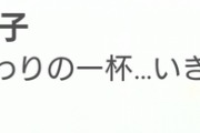 【デレステ】鷹富士茄子「お仕事終わりの一杯…いきますか♪」