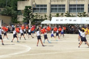 【速報】日本の運動会、海外にバレる「これは軍事教育だ」