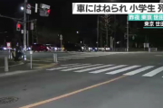 【夜10時】９歳のお兄ちゃん、２歳の弟を乗せたベビーカーを押して横断歩道を渡り始めたところをはねられ死亡・世田谷