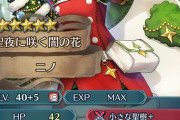 【FEH】重装ニノ使いにくそうなのに１０凸かなり多い印象だわ