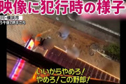【横浜】タイ人に喧嘩売って刺されて死んだヤクザの映像が公開される