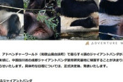 和歌山のアドベンチャーワールド､4頭全てのパンダを6月末頃に中国に返還 日本のパンダは上野動物園だけに