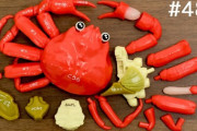 蟹（カニ）の部位がわかるズワイガニ解体パズル　海外の反応