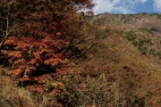 【南巨摩郡】みのぶ自然の里キャンプ場【動画】紅葉の見ごろ11月中旬～11月下旬♪