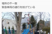 【ポケモンGO】ポケスト申請「公園の遊具」←これを緊急車両の妨げで否認するリジェクトマン、常識の欠如…