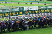 競馬歴10年以内の人達がほとんど知らないであろうオープン馬出した奴が優勝