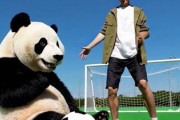 中国人「サッカー日本代表の4試合の結果を並べてみた。一体どれだけ強いんだ」　中国人「大日本よ、これは反則級だ」「某国の面目が丸つぶれ」