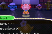 【あつまれどうぶつの森】セイイチ・ゆめみ・ししょーたちの登場は無いのだろうか…