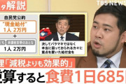 自民党・公明党「ほーいこれ現金2万円ねw足りなければまた配るよwww」←これで票が集まるという事実