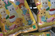 深夜にチャリンコで街を駆け回る夢月ロアちゃん、無事玩具をゲット【にじさんじ】